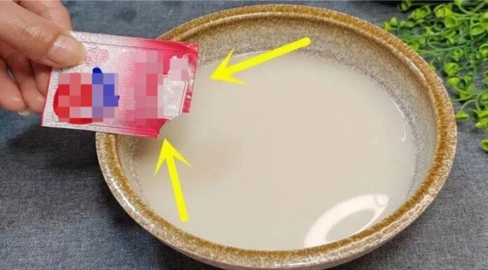 “The Magical Power of Rice Water and Yeast: A Natural Remedy for a Healthy Home”