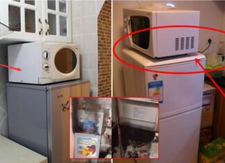 The 3 Things You Should Never Keep on Your Fridge Door: Uncovering the Hidden Dangers