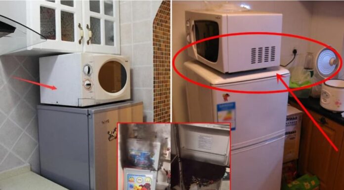 The 3 Things You Should Never Keep on Your Fridge Door: Uncovering the Hidden Dangers