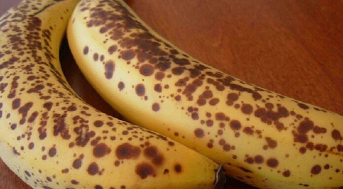 The Ultimate Guide to Choosing Ripe Fruits: Never Fall for Unripe Produce Again