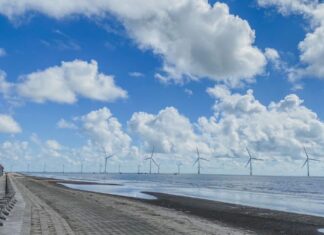 Exploring Duyen Hai (Tra Vinh): 5 Must-Visit Spots