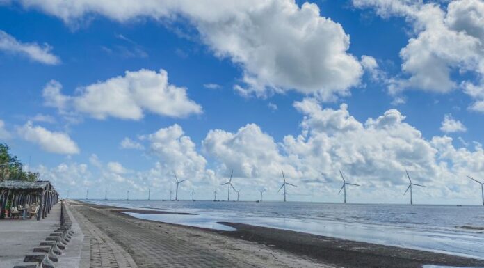 Exploring Duyen Hai (Tra Vinh): 5 Must-Visit Spots