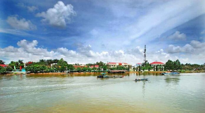 Exploring U Minh (Ca Mau): Top 5 Must-Visit Destinations