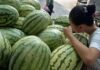 The Ultimate Guide to Choosing the Perfect Watermelon: A Sweet and Simple Trick