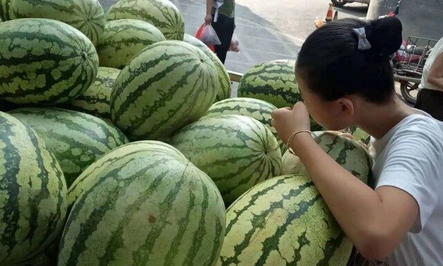 The Ultimate Guide to Choosing the Perfect Watermelon: A Sweet and Simple Trick