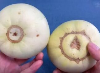 “The Bigger the Better: How a Larger Cucumber Bulb Guarantees a Sweeter Treat — A Tasty Tip for Your Next Snack.”