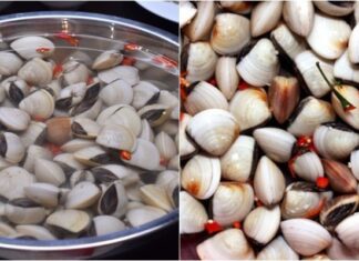 The Secret to Sand-Free Shellfish: A 2-Hour Guide to Perfection