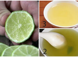 The Power of Lemon: Enhancing the Taste and Health Benefits of Boiled Water spinach