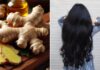 The Magic of Ginger: Unlocking Hair Growth Secrets