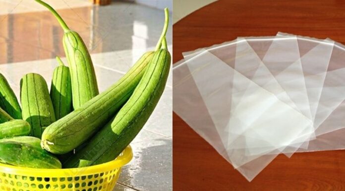 The Secret to Keeping Fresh: Keep Your Loofah Out of the Fridge