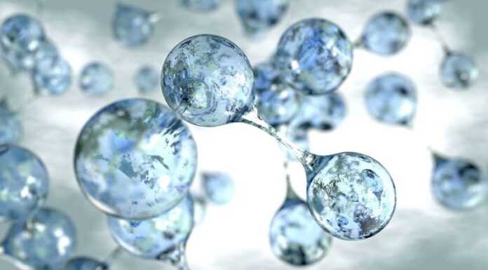 What is Ectoin? The Benefits of Ectoin in Skincare Products You Should Know About.