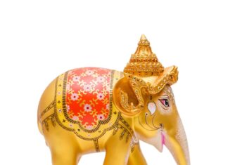 The Ultimate Guide to Lucky Charms Around the Globe: Uncover the Unknown!