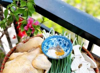 “A Sumptuous Dish: Steamed Chicken with Onions”