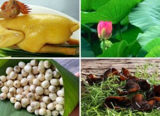 “A Sumptuous and Aromatic Treat: Steamed Chicken with Lotus Leaves”