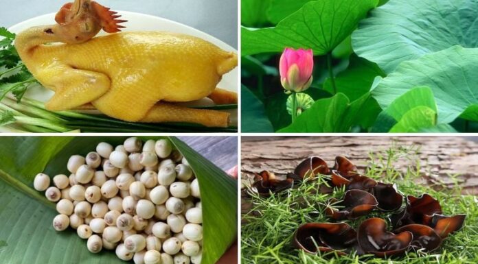 “A Sumptuous and Aromatic Treat: Steamed Chicken with Lotus Leaves”