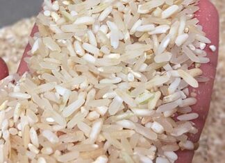 What is Brown Rice? Distinguishing Between Brown Rice and Rice with the Husk Intact.