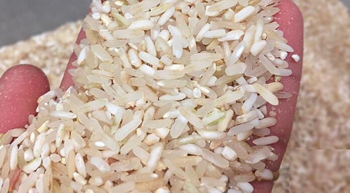 What is Brown Rice? Distinguishing Between Brown Rice and Rice with the Husk Intact.