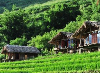 Exploring Nam Cang, Sa Pa: Immerse Yourself in the Majestic Scenery