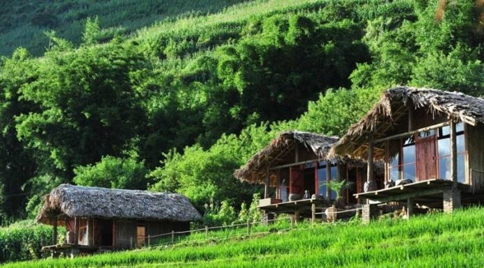 Exploring Nam Cang, Sa Pa: Immerse Yourself in the Majestic Scenery