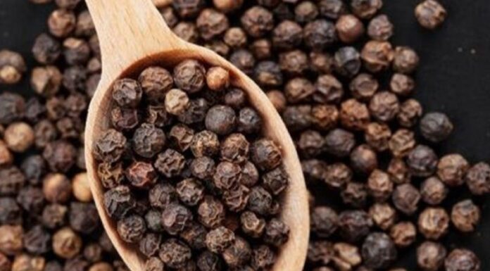 Today’s Black Pepper Prices 05/08/2021: Prices Rise, Ranging from 72,500 – 75,500 VND/kg