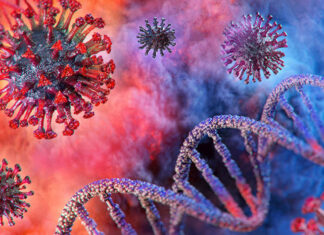 The Truth Behind COVID-19 Misconceptions: An Expert’s Take