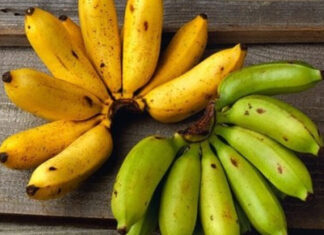 The Ultimate Guide to Banana Varieties: Unveiling the Unique Characteristics of Each.
