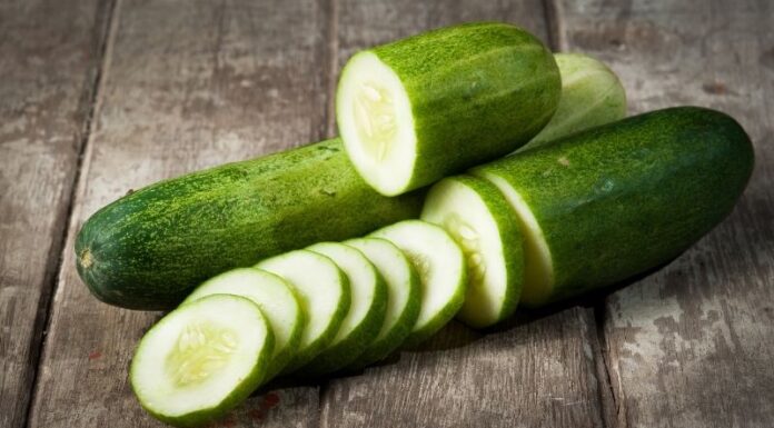 “The Ultimate Guide to Cucumber Weight Loss: Tips from a Japanese Doctor”