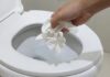Should You Flush or Trash Your Toilet Paper?