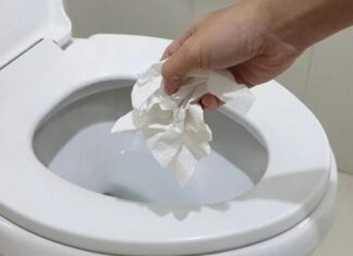 Should You Flush or Trash Your Toilet Paper?