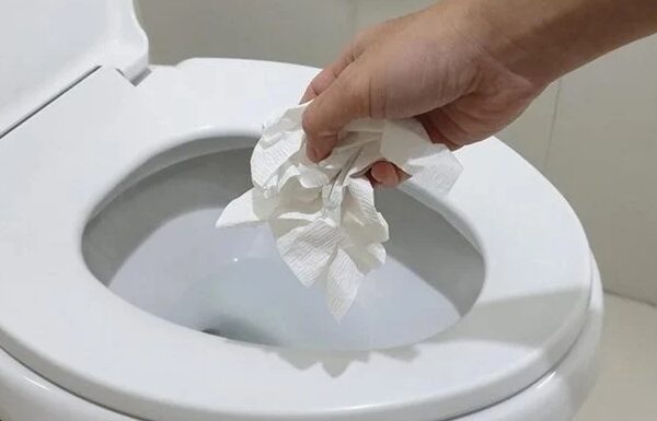 Should You Flush or Trash Your Toilet Paper?