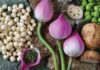 Preserving Fresh Lotus Seeds: A Guide to Long-Term Storage Without Discoloration