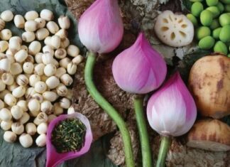 Preserving Fresh Lotus Seeds: A Guide to Long-Term Storage Without Discoloration