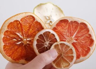 The Ultimate Guide to Drying Fruits: 4 Easy Methods Using an Air Fryer