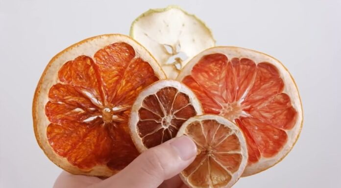 The Ultimate Guide to Drying Fruits: 4 Easy Methods Using an Air Fryer