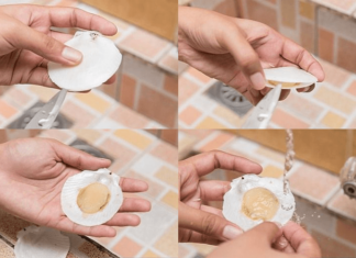 The Ultimate Guide to Cleaning Clams: A Quick and Easy 30-Second Method