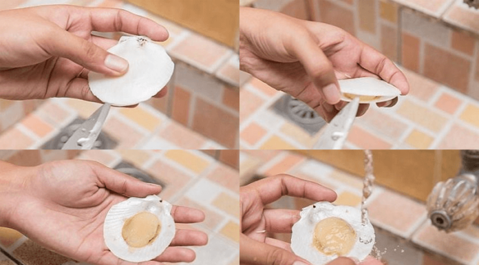 The Ultimate Guide to Cleaning Clams: A Quick and Easy 30-Second Method