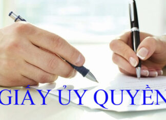 The Definitive Guide to Power of Attorney: Understanding the Legal Landscape in the Modern Age