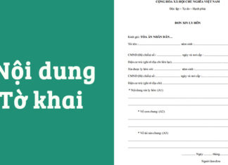 The Art of Divorce: A Step-by-Step Guide to Navigating the Legal Maze.
