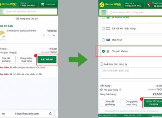 The Art of Online Grocery Payment: A Step-by-Step Guide to Mastering the Transfer