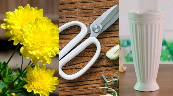 The Ultimate Guide to Arranging Marigolds for a Stunning Altar Display