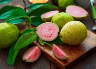 “Boost Your Child’s Immunity and Brain Power with This Common Vietnamese Fruit: A Four-Fold Vitamin C Punch”