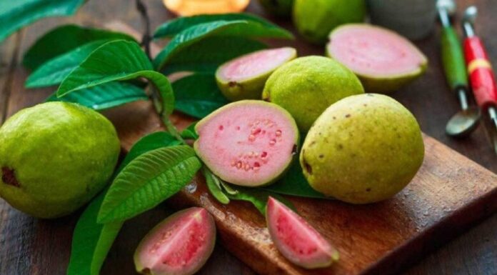 “Boost Your Child’s Immunity and Brain Power with This Common Vietnamese Fruit: A Four-Fold Vitamin C Punch”