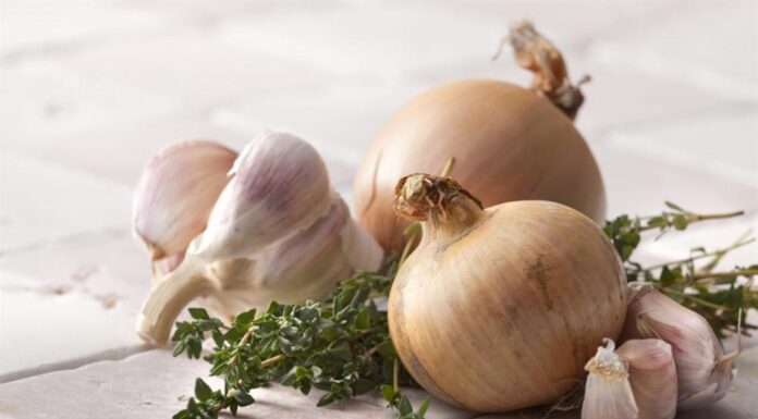 The Magic Breath Saver: A Quick Fix for Overindulging in Garlic and Onions