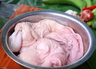 The Ultimate Guide to Cleaning a Pig’s Stomach: A Simple Yet Effective Method!