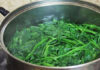 “To Lid or Not to Lid: The Great Vegetable Boiling Debate”