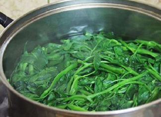 “To Lid or Not to Lid: The Great Vegetable Boiling Debate”