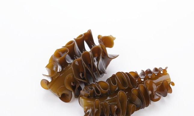 The Miracle of Okinawan Brown Seaweed Mekabu