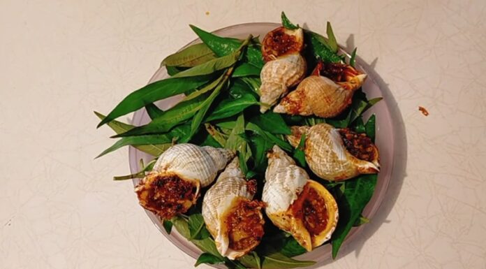 “Spicy Satay Snails: An Air-Fried Twist”