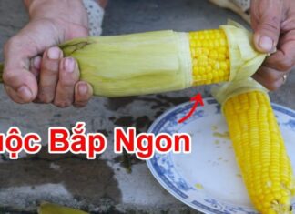 The Secret to Perfectly Boiled Corn: A Street Vendor’s Tip for Succulent Kernels