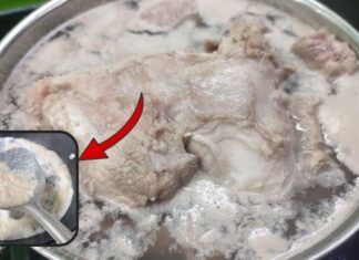 Is It Necessary to Skim Off the Brown Scum When Boiling Pork?